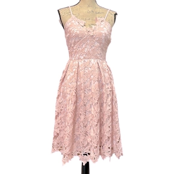 Design Lab Lord & Taylor Pink Lace Midi Dress Size Small - Picture 3 of 9
